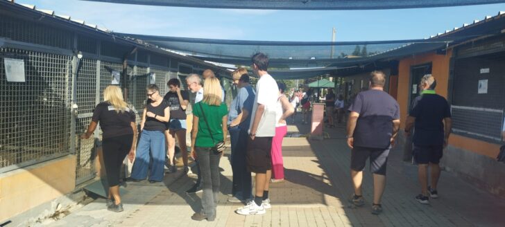Cinquecento persone alla “Festa a 4 zampe” di Alessandria: porte aperte al canile Cascina Rosa